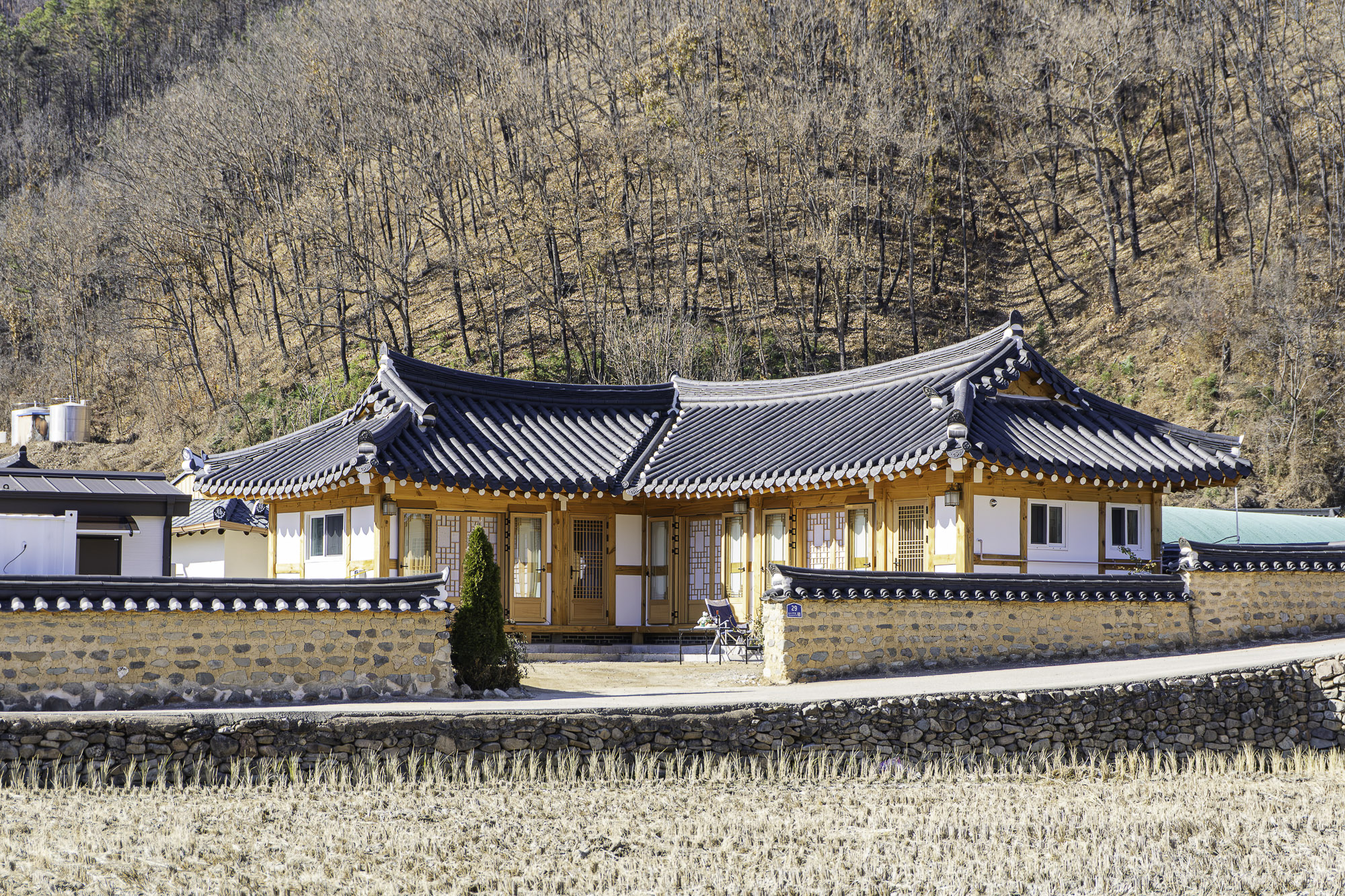 dsc01906 향상됨 노이즈 감소 2 2